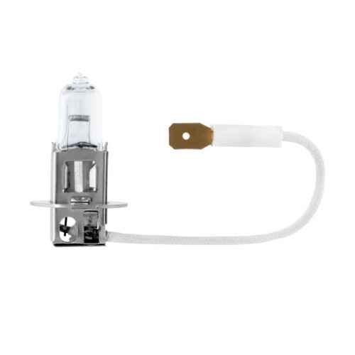 H3 Fog Light Bulb - 12v 55w - Buy Auto Supply