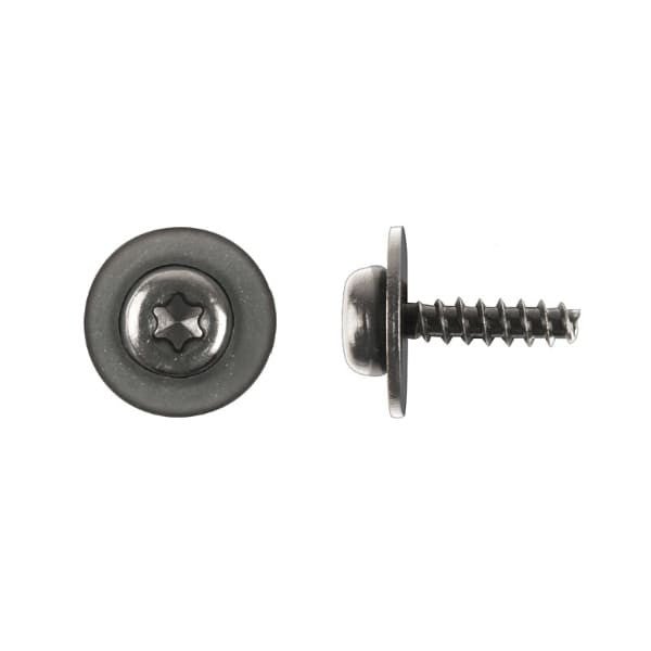 Ford Torx Screws
