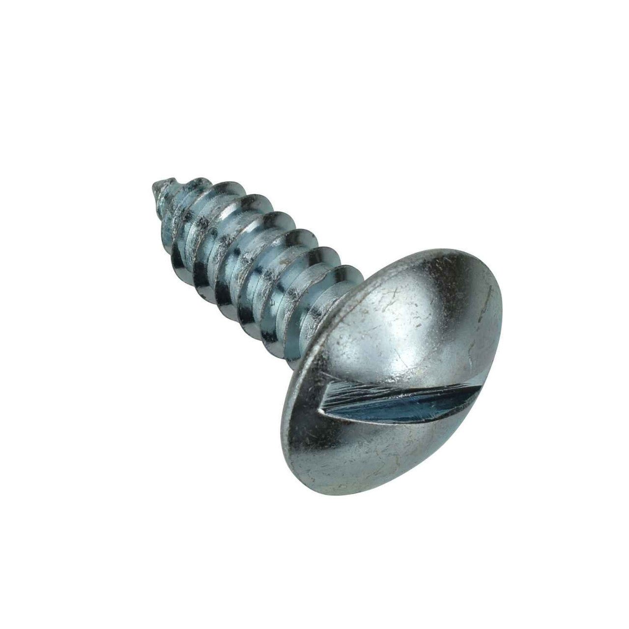 License Plate Screw - #14