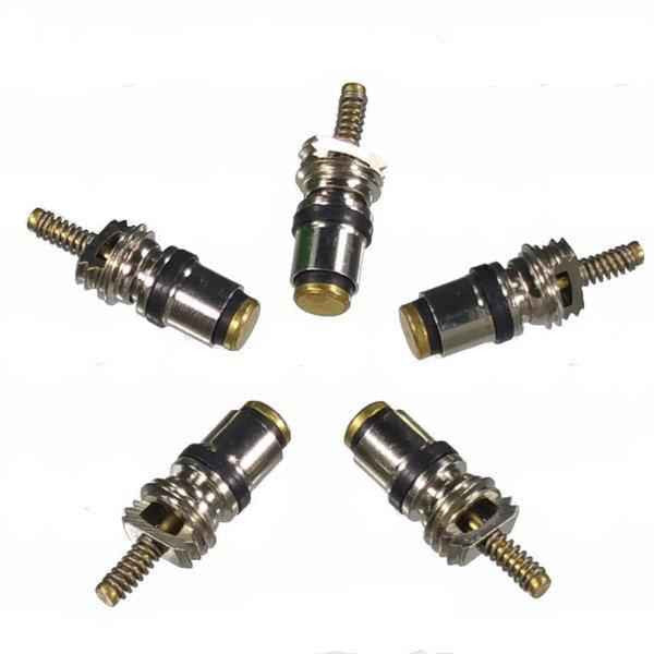 A/C Schrader Valve for Volvo