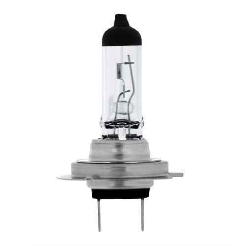 H7 Fog Light Bulb - 12v 55w